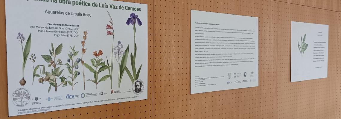 Município de Anadia dinamiza projeto Biblioescola