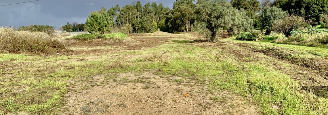 construção de habitações em Sangalhos