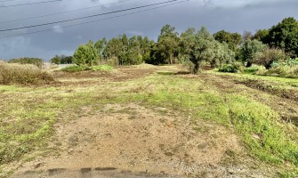 construção de habitações em Sangalhos