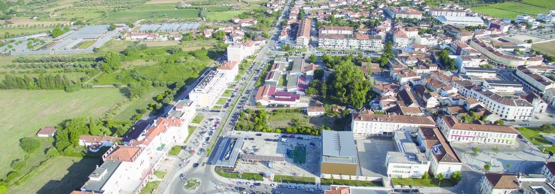 Recolha de biorresíduos