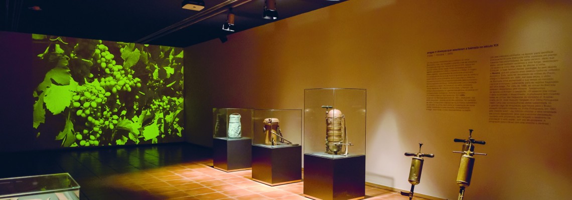 17.º aniversário do Museu do Vinho Bairrada