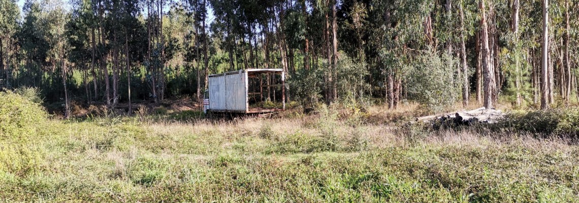 Remoção e recolha de veículos abandonados
