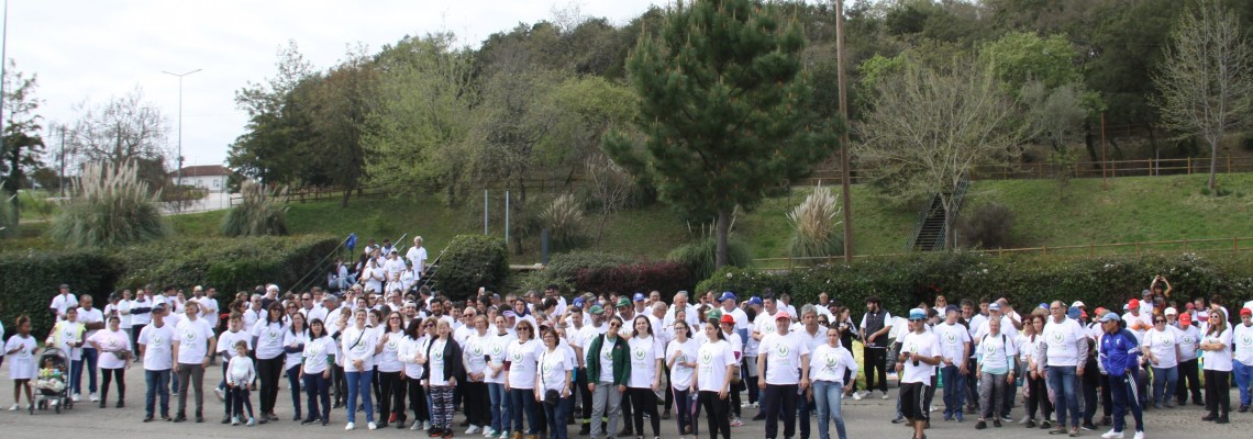 Anadia + Limpa, Anadia + Verde