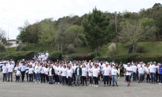 Anadia + Limpa, Anadia + Verde