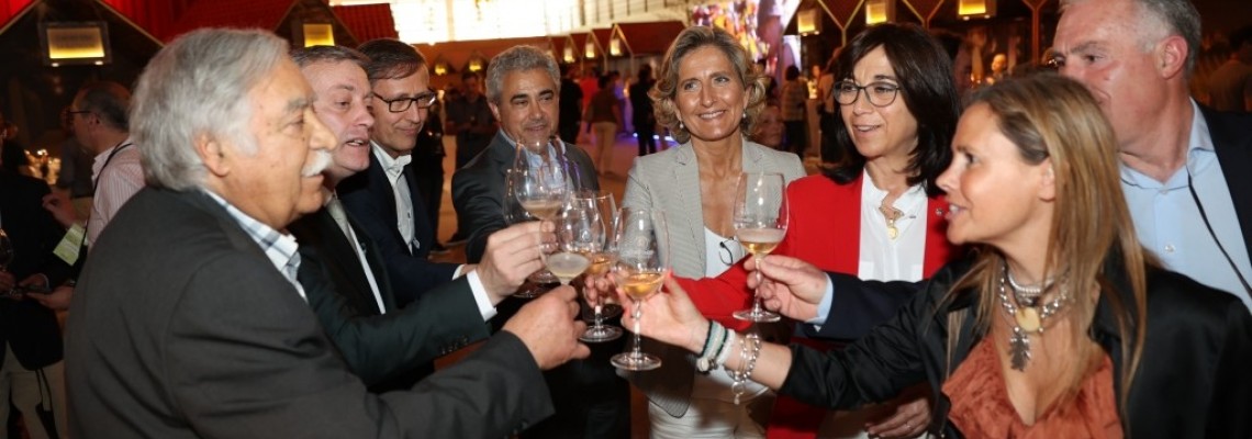 Linha de alta velocidade é prejudicial para Anadia