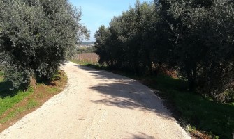 Melhoramento de caminhos rurais