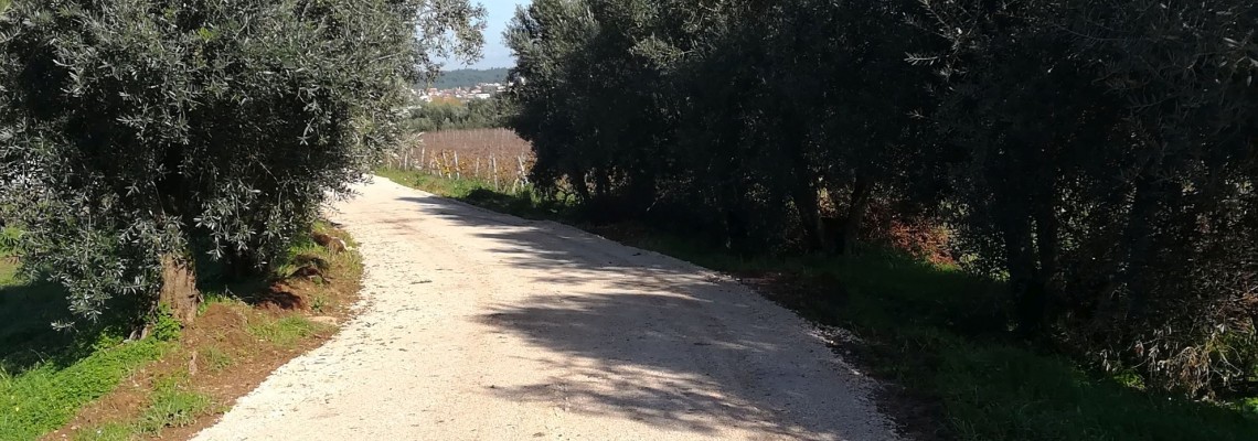 Município melhora caminhos agrícolas