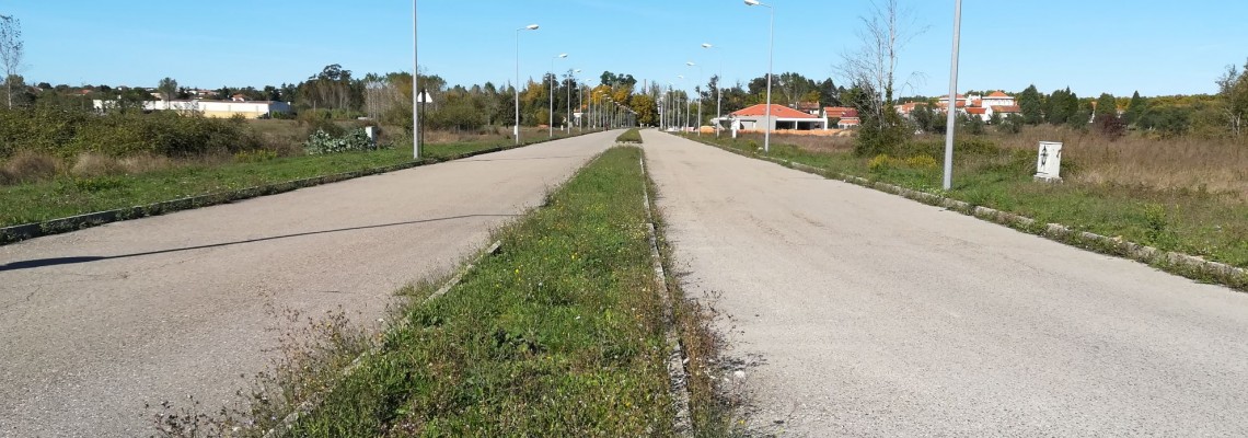 Município avança com requalificação das avenidas da Curia