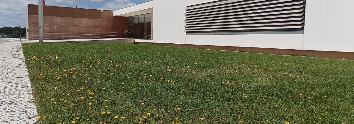 Workshop “O método Montessori”