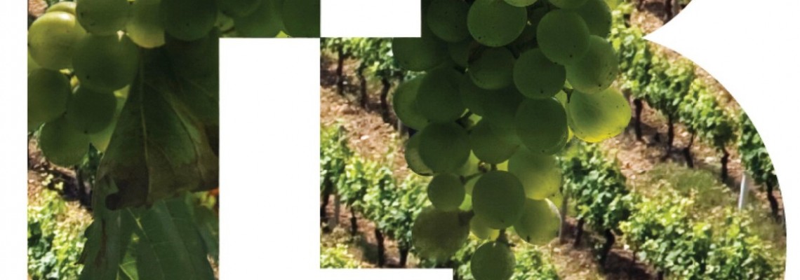 Festival Anadia de Paixões será apresentado na BTL