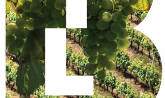 Festival Anadia de Paixões será apresentado na BTL