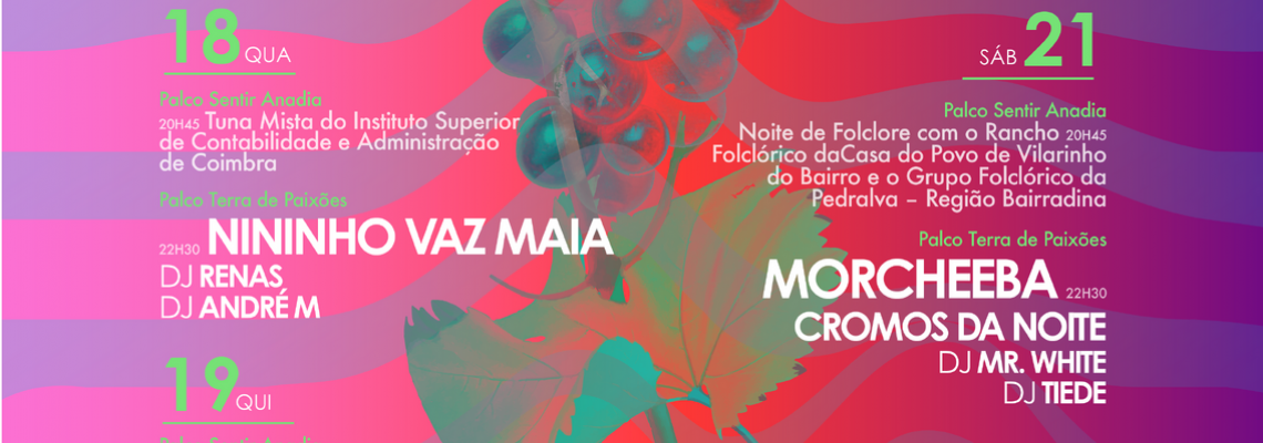 Feira da Vinha e do Vinho 2025