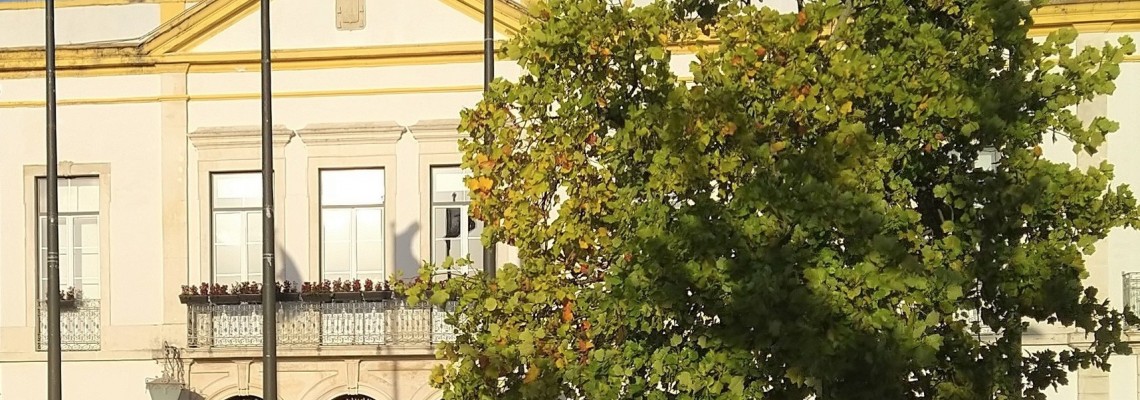 Aprovação de regulamentos