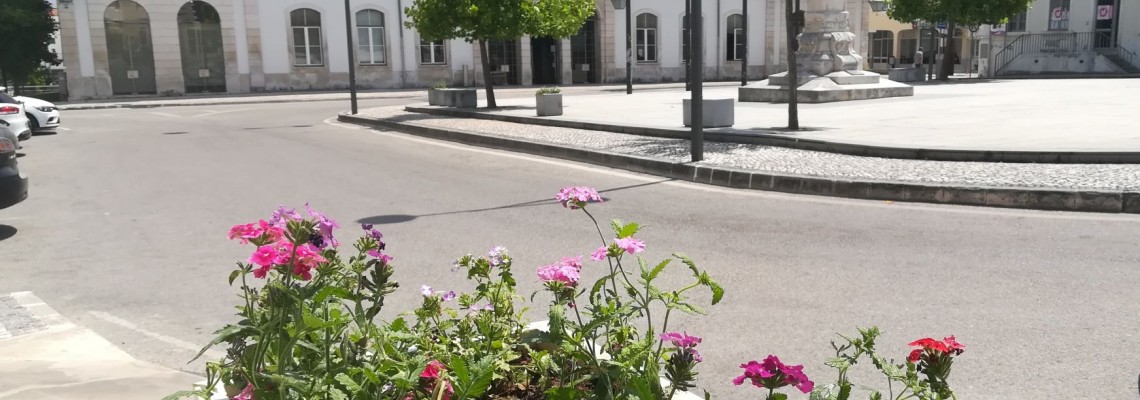 Município mantém valores de derrama e IRS