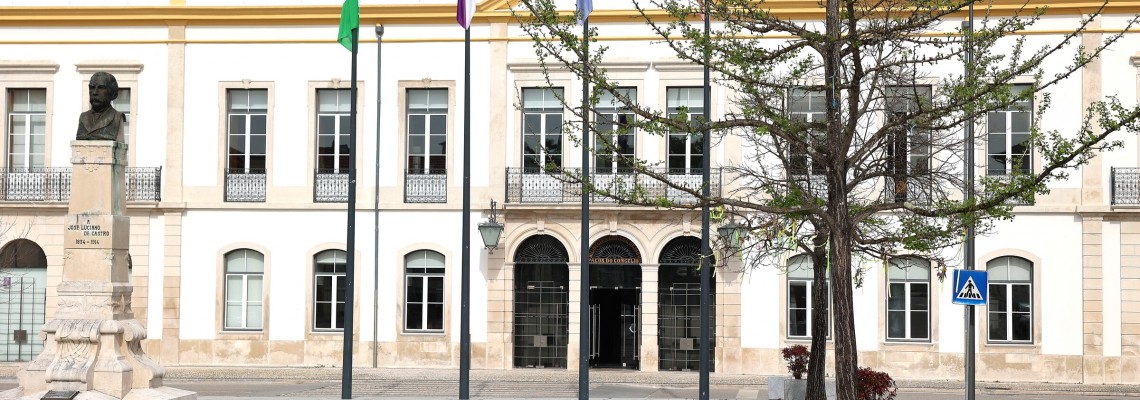 Município apoia IPSS