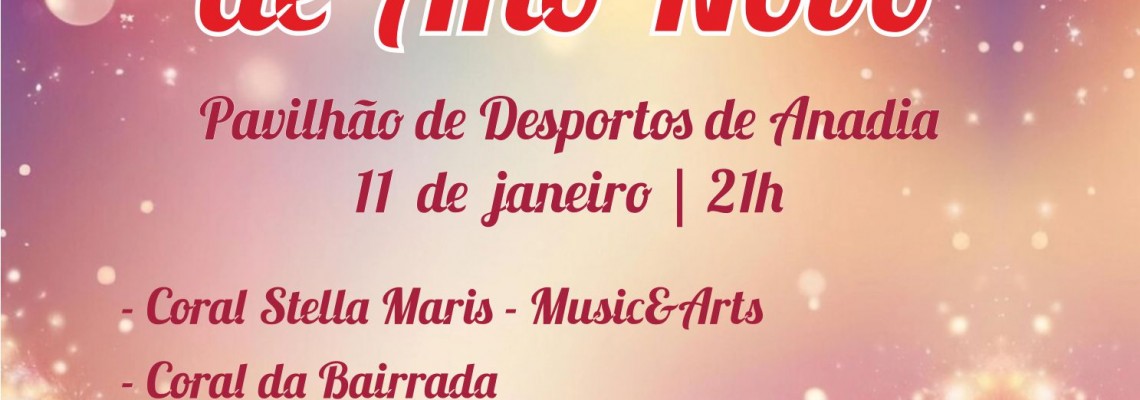 Concerto de Ano Novo