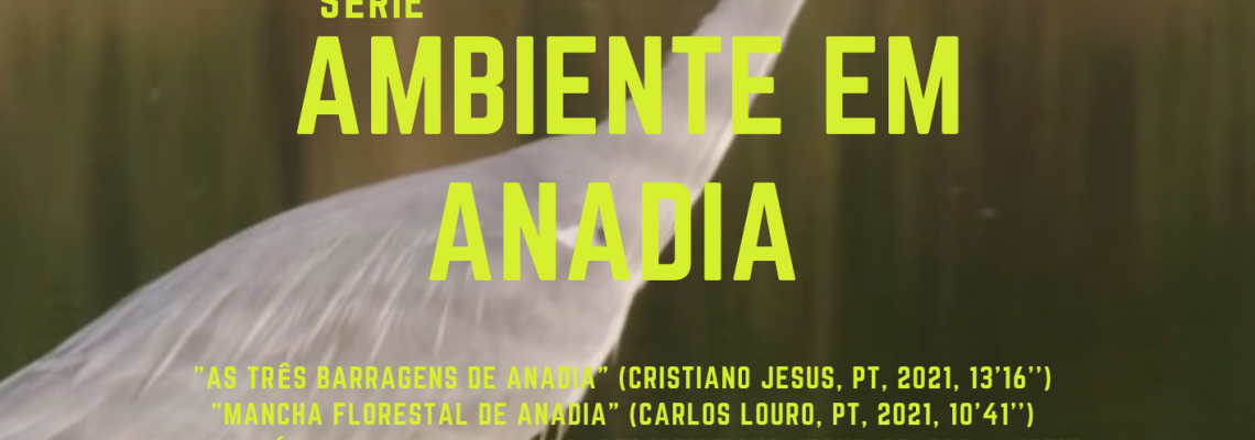 Sessão especial 5ª Dimensão 