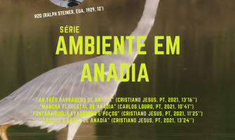 Sessão especial 5ª Dimensão 