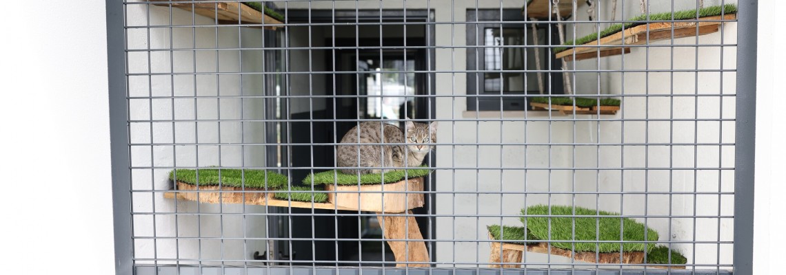 Município apoia associações de defesa animal