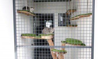 Município apoia associações de defesa animal