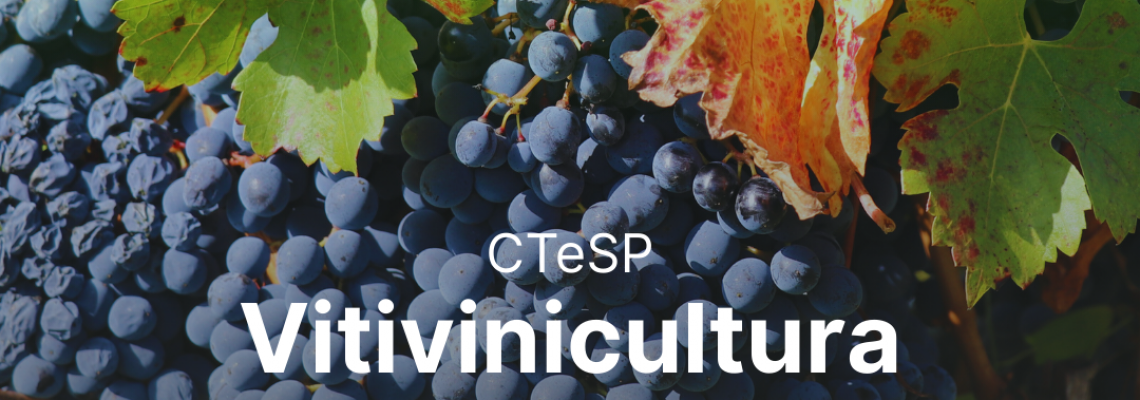 Escola da Bairrada: candidaturas abertas