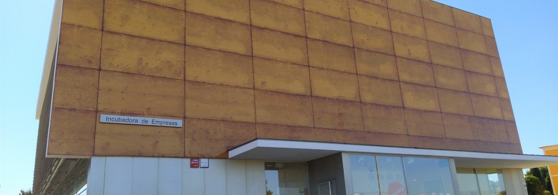 Atualização das normas da Incubadora