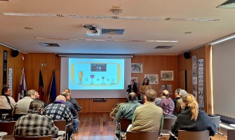 Ação de formação sobre RSI