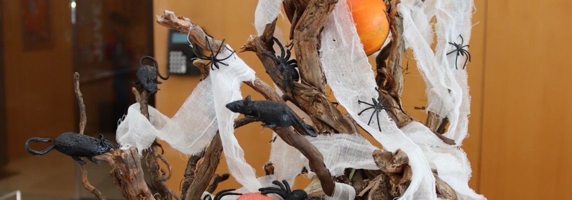 Biblioteca Municipal assinala “Dia das Bruxas”