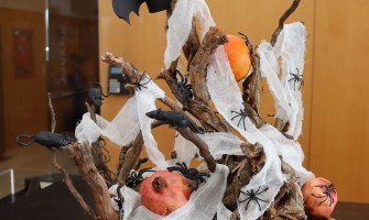 Biblioteca Municipal assinala “Dia das Bruxas”