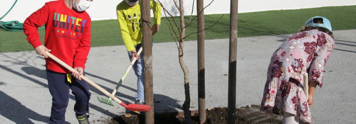 Município assinalou Dia da Floresta Autóctone
