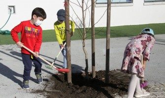 Município assinalou Dia da Floresta Autóctone
