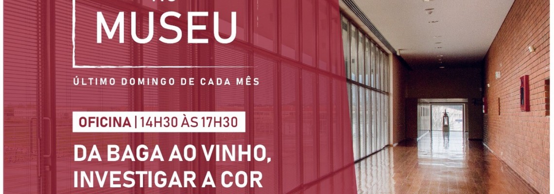 Domingos abertos no Museu