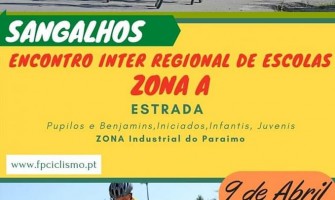 Encontro inter-regional de escolas em Sangalhos