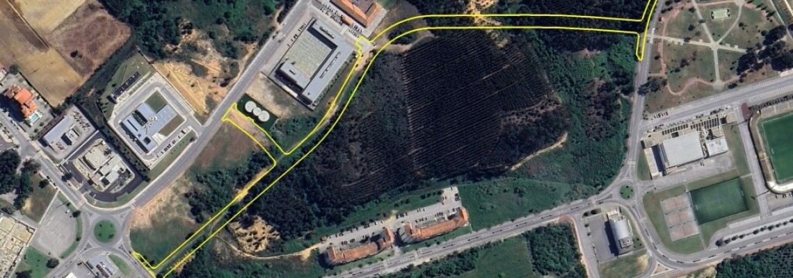 Construção de novo arruamento em Anadia