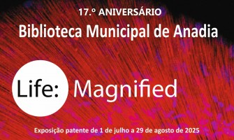 BMA mostra “Life: Magnified – Vida Ampliada”