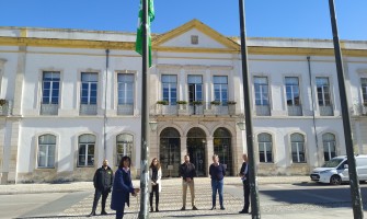 Há 14 bandeiras verdes no concelho de Anadia 