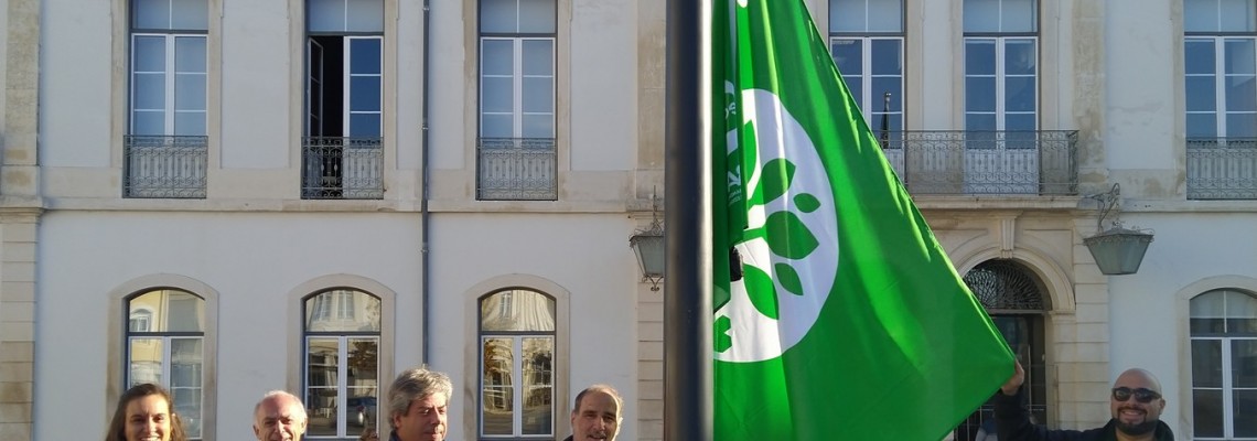 Hastear da Bandeira Verde Eco XXI