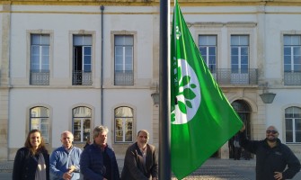 Hastear da Bandeira Verde Eco XXI