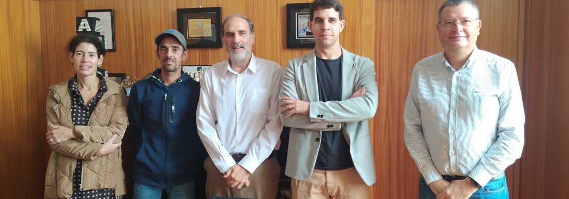 Apoio ao empreendedorismo e ao emprego qualificado