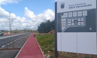 Alienação de lotes na Zona industrial do Vale Salgueiro