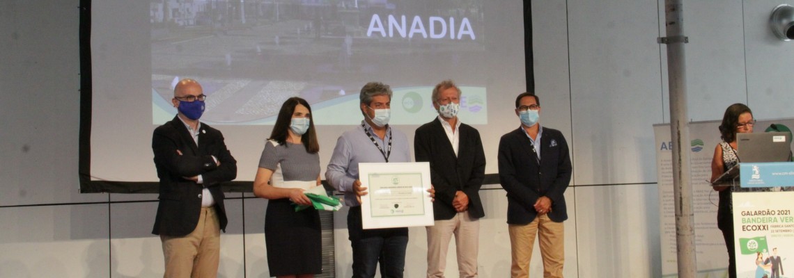 Bandeira Verde Eco XXI