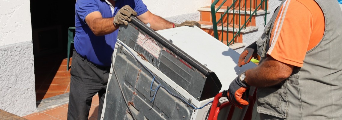 Número verde para recolha de monos: 800 207 081