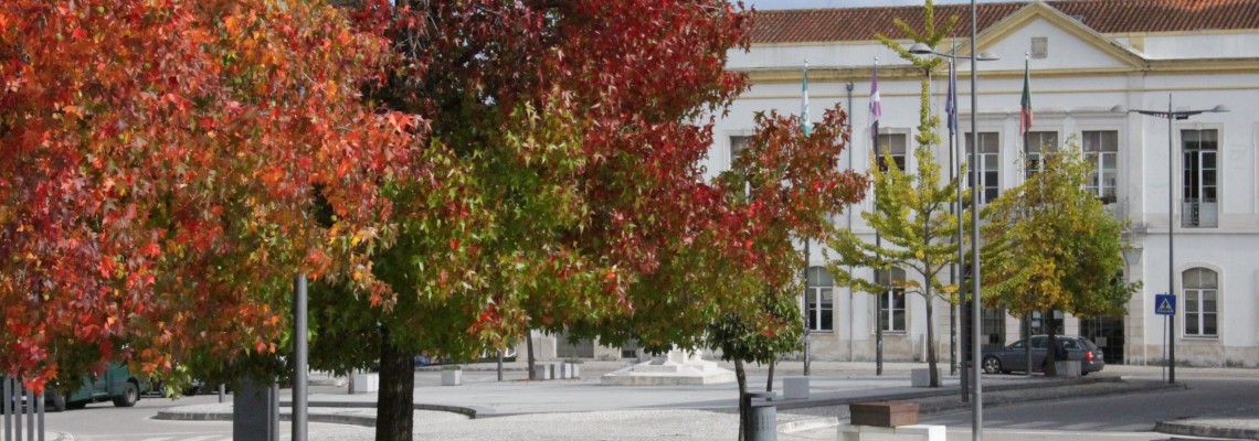 Apoio a dadores de sangue e escuteiros