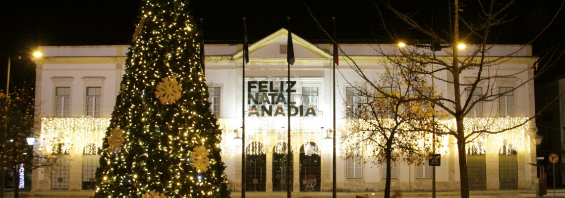 Votos de Boas Festas