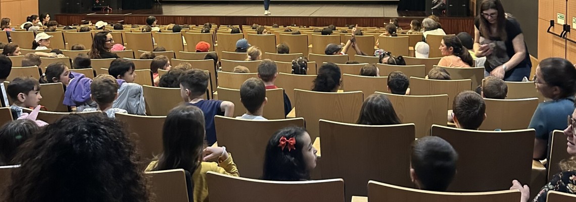  “Cinema em rede na nossa terra”