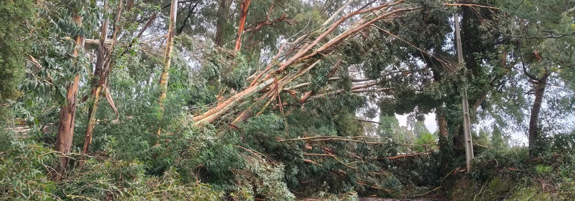 Depressão Kristin no concelho de Anadia