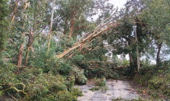 Depressão Kristin no concelho de Anadia