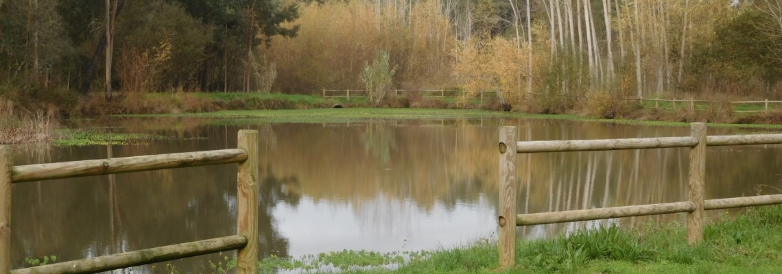 Comemoração do Dia das Florestas e do Dia da Água
