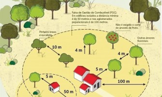 Ações de sensibilização sobre gestão de combustível