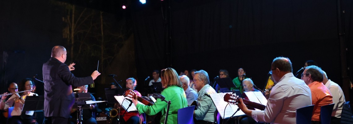 Orquestra Desigual da Bairrada anima Anadia